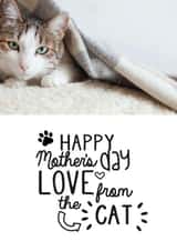 Personalised Mothers Day Photo Card created by Jodie Gaul & Co - from the cat cat mum Mothers Day Personalised Photo Card 9716