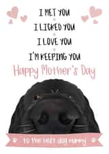 Cute Mothers Day Card - To The Best Dog Mummy - I Met You I Licked You I Love You I'm Keeping You created by The Merry Giraffe