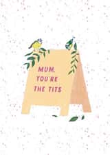 Funny Mothers Day Card - Mum - Blue Tit - Mum You're The Tits created by Lily O'Neill
