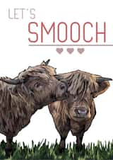 Highland Cow Card created by Designs by Elena