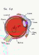 Eye Science Valentines Day Card 48007 created by incardible