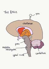 Brain Thinking ofyou Card 48008 created by incardible