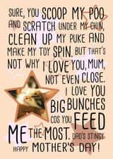 Personalised Mothers Day Photo Card created by Miümi Cat - Funny Cat Poem Personalised Mothers Day Card / Photo Card - From The Cat - I Love You Big Bunches Cos You Feed Me The Most