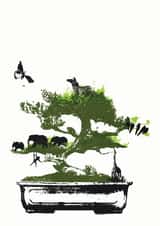 bonzai bonzai tree Card 23697 created by Katie Edwards