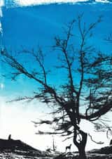 dog days dog Card 23698 created by Katie Edwards