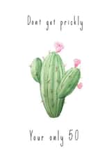 succulent cactus Love & Friendship Card 48071 created by Shire Studios