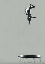 dog trampoline Just because Card 23711 created by Katie Edwards