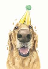 Golden Retriever Labrador Retriever Birthday Card 21231 created by Robert James Hull