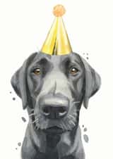 Black Labrador Labrador Retriever Birthday Card 21232 created by Robert James Hull