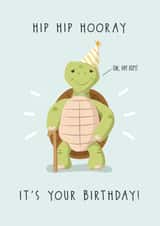 hip hip hooray hooray Birthday Card 21138 created by Cheeky Peeky