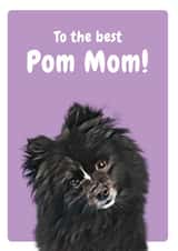 to the Birthday Card 20661 created by Studio Woof