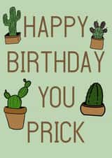 Happy Birthday Cactus Card 48294 created by Insight Designs