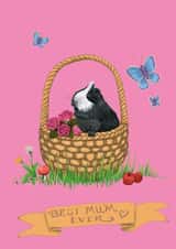 best mum badger Mothers Day Card 48022 created by The Good Guinea