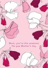 sweet peas flower Mothers Day Card 16801 created by Mor Creative