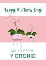 house plants flowers Mothers Day Card 46839 created by Margot Hill