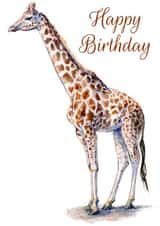 wild animal giraffe Birthday Card 1115 created by Tim Pond