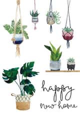 Pretty House Plant New Home Card - Hanging Plants - Happy New Home created by Bramble Designs