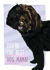 Best dog mama! Cockerpoo card created by Rulu