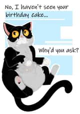 Fat Cat Birthday Cake created by Abigail Taras