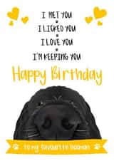Dad Birthday Card from the Dog 1001 created by The Merry Giraffe