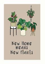 Pretty House Plants New Home Card - Cheese Plant - New Home Means New Plants created by Annabel Draws