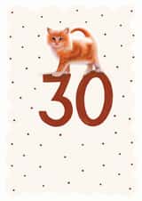 kitten cat Birthday Card 14817 created by Hot Dog greetings
