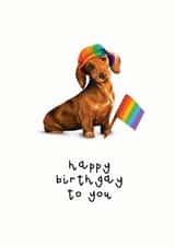 rainbow flag rainbow Birthday Card 14818 created by Hot Dog greetings