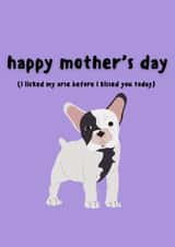 pug puppy Mothers Day Card 31176 created by EalainXDesigns
