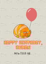 Happy Birthday Human, from the cat created by Trickyy