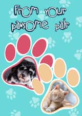 Personalised Birthday Photo Card created by Lisa Wardle - From the dog from the cat Birthday Personalised Photo Card 19695