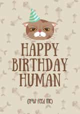 Happy Birthday Human from the cat card created by Trickyy