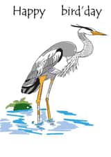 Happy bird'day created by CoolArt2021