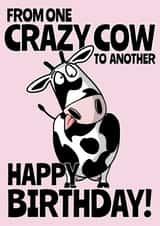Crazy cow birthday card created by Teeneebash