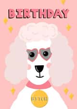 Birthday Bitch Birthday Card created by This Gal Designs