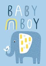 Baby Boy created by Sally Payne Design