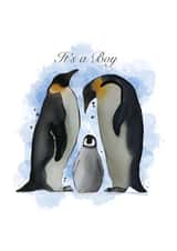 It’s a boy new baby penguin card created by Charlie creates