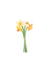 Simple Springtime Daffodils created by Designed by Zena