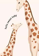 Hello Sweet Baby New Baby Card created by Libby Whiteside