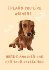 Cheeky Dachshund I Heard You Like Wieners Card created by Cujo Creations