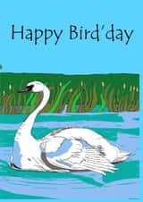 Happy bird' day 1004 created by CoolArt2021