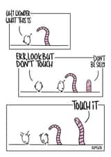 look but dont touch created by bumskin