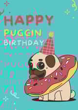 Pug birthday card 1000 created by IcyCard