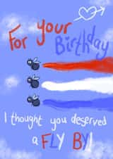 Fly by birthday created by AP Designs