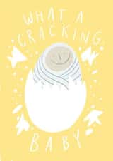 What a Cracking New Baby created by illokate