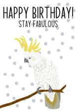 Happy Birthday Stay Fabulous created by Swisa Creates