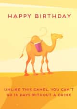 Birthday Camel created by Kat Prentki
