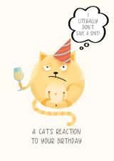 A cat's reaction too your Birthday created by Artsy Gift Co