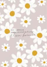 Daisy Sympathy Card created by Stanley and Dot Studio