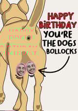 Personalised Birthday Photo Card created by Olivia Rose Designs - funny rude Birthday Personalised Photo Card 21116