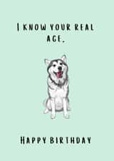 Real Age Dog Birthday Card created by Thankful Cards